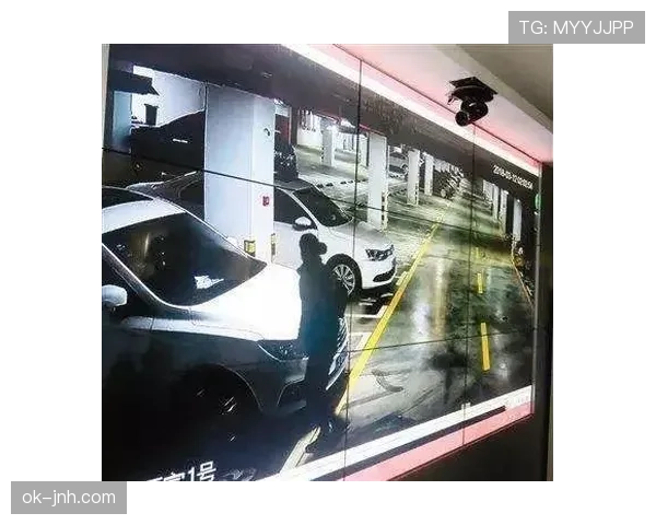 刷到李小鹏家车库那排车，瞬间怀疑人生